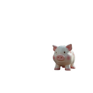 Pig In Orchard Vinyl Car Decal Sticker – Waterproof & UV-Resistant 8" Pig In Orchard Vinyl Car Decal Sticker – Waterproof & UV-Resistant 8"