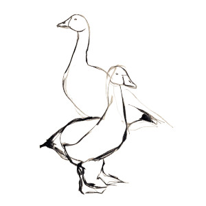 Matisse'S Gooses V2 Vinyl Car Decal Sticker – Waterproof & UV-Resistant 8"