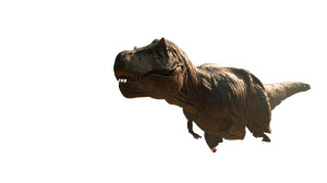 Tyrannosaurus In Jungle Vinyl Car Decal Sticker – Waterproof & UV-Resistant 8"