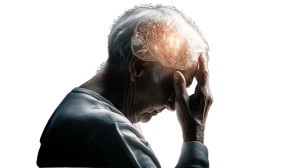 Glowing Brain Elder Vinyl Car Decal Sticker – Waterproof & UV-Resistant 8"