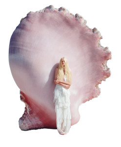 Blonde Shell Muse Vinyl Car Decal Sticker – Waterproof & UV-Resistant 8"