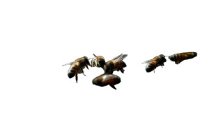 Bees In Hive Vinyl Car Decal Sticker – Waterproof & UV-Resistant 8" Bees In Hive Vinyl Car Decal Sticker – Waterproof & UV-Resistant 8"