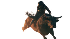 Bull Rider Thrown Vinyl Car Decal Sticker – Waterproof & UV-Resistant 8"