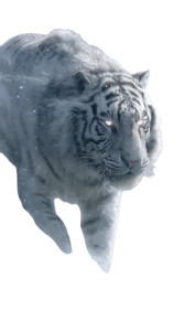 Mythical Tiger Deity Vinyl Car Decal Sticker – Waterproof & UV-Resistant 8"