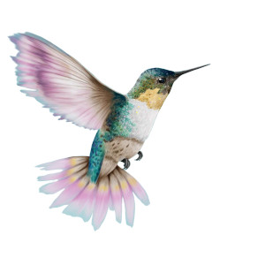 Humming Bird Vinyl Car Decal Sticker – Waterproof & UV-Resistant 8" Humming Bird Vinyl Car Decal Sticker – Waterproof & UV-Resistant 8"