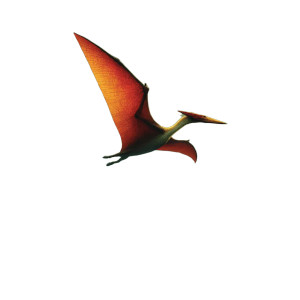 Pterodactyl Vinyl Car Decal Sticker – Waterproof & UV-Resistant 8"