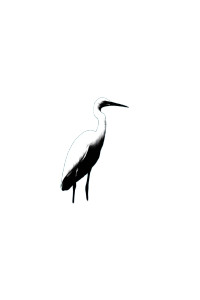 White Heron Logo V2 Vinyl Car Decal Sticker – Waterproof & UV-Resistant 8"