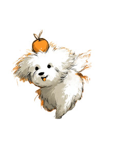 Bichon Frise With Apple Vinyl Car Decal Sticker – Waterproof & UV-Resistant 8"