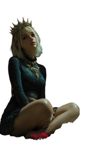 Crowned Fox Friend V2 Vinyl Car Decal Sticker – Waterproof & UV-Resistant 8"