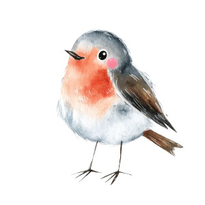 Smiling Robin Vinyl Car Decal Sticker – Waterproof & UV-Resistant 8"