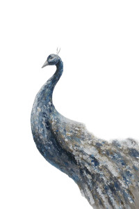 Majestic Peacock Display V2 Vinyl Car Decal Sticker – Waterproof & UV-Resistant 8"