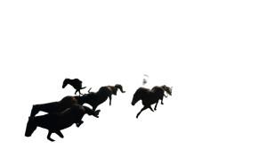 Wild Horses Running Vinyl Car Decal Sticker – Waterproof & UV-Resistant 8"