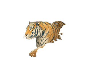 Japanese Tiger Vinyl Car Decal Sticker – Waterproof & UV-Resistant 8"