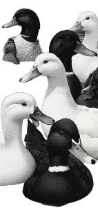 Flock Of Ducks Vinyl Car Decal Sticker – Waterproof & UV-Resistant 8"