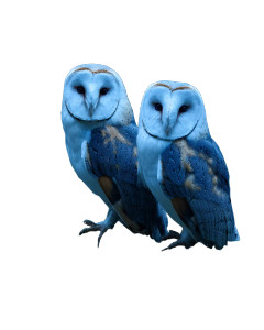Mystical Barn Owls Vinyl Car Decal Sticker – Waterproof & UV-Resistant 8" Mystical Barn Owls Vinyl Car Decal Sticker – Waterproof & UV-Resistant 8"