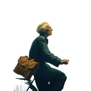 Hofmann'S Bicycle Ride Vinyl Car Decal Sticker – Waterproof & UV-Resistant 8"