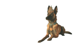 Royal Belgian Malinois Vinyl Car Decal Sticker – Waterproof & UV-Resistant 8" Royal Belgian Malinois Vinyl Car Decal Sticker – Waterproof & UV-Resistant 8"