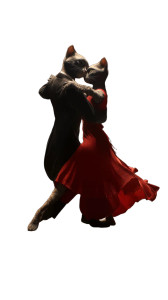 Dancing Cats Tango Vinyl Car Decal Sticker – Waterproof & UV-Resistant 8"