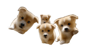 Adorable Puppies Group Vinyl Car Decal Sticker – Waterproof & UV-Resistant 8"