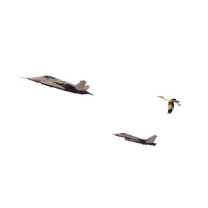 Stork With Baby V2 Vinyl Car Decal Sticker – Waterproof & UV-Resistant 8"