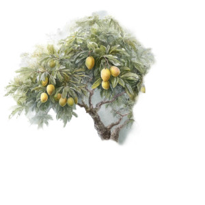 Luscious Fruit Tree Vinyl Car Decal Sticker – Waterproof & UV-Resistant 8" Luscious Fruit Tree Vinyl Car Decal Sticker – Waterproof & UV-Resistant 8"