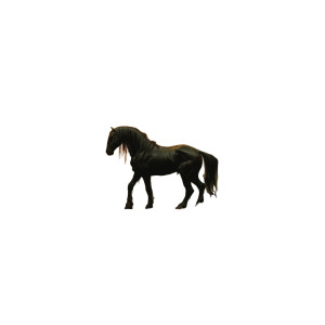 Horse On Lake Vinyl Car Decal Sticker – Waterproof & UV-Resistant 8"