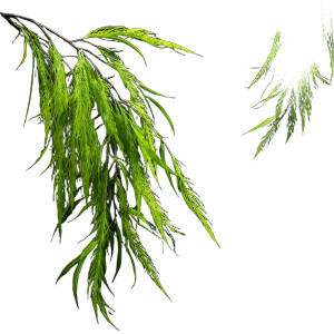 Green Willow Branches Vinyl Car Decal Sticker – Waterproof & UV-Resistant 8"