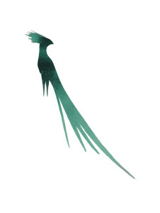 Quetzal Vinyl Car Decal Sticker – Waterproof & UV-Resistant 8"