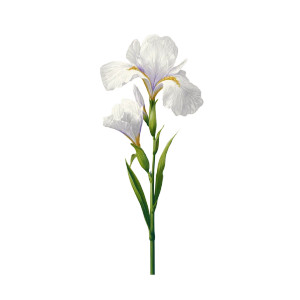 Iris Flower Vinyl Car Decal Sticker – Waterproof & UV-Resistant 8" Iris Flower Vinyl Car Decal Sticker – Waterproof & UV-Resistant 8"