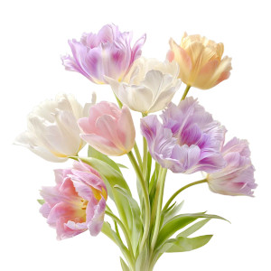 Tulips Vinyl Car Decal Sticker – Waterproof & UV-Resistant 8" Tulips Vinyl Car Decal Sticker – Waterproof & UV-Resistant 8"