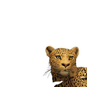 Leopards And Plants Vinyl Car Decal Sticker – Waterproof & UV-Resistant 8"