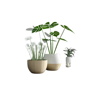 Small Plant Vinyl Car Decal Sticker – Waterproof & UV-Resistant 8"