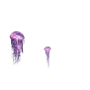 Wisteria Jellyfish Vinyl Car Decal Sticker – Waterproof & UV-Resistant 8" Wisteria Jellyfish Vinyl Car Decal Sticker – Waterproof & UV-Resistant 8"
