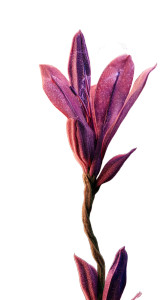 Lavender Flower Entity Vinyl Car Decal Sticker – Waterproof & UV-Resistant 8"