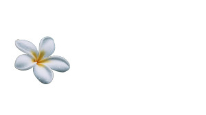 White Frangipani Flower Vinyl Car Decal Sticker – Waterproof & UV-Resistant 8" White Frangipani Flower Vinyl Car Decal Sticker – Waterproof & UV-Resistant 8"