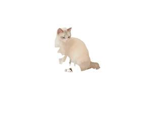 Abstract Cat Scene Vinyl Car Decal Sticker – Waterproof & UV-Resistant 8"