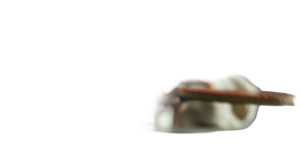 Table Tennis Duel Vinyl Car Decal Sticker – Waterproof & UV-Resistant 8"