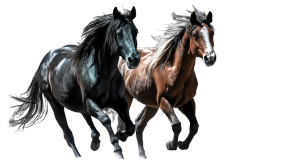 Wild Horses Action Vinyl Car Decal Sticker – Waterproof & UV-Resistant 8"