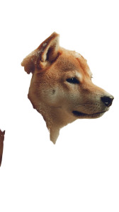 Shiba Guardian Spirit Vinyl Car Decal Sticker – Waterproof & UV-Resistant 8"