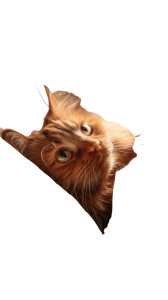 Ginger Cat'S Gaze Vinyl Car Decal Sticker – Waterproof & UV-Resistant 8"