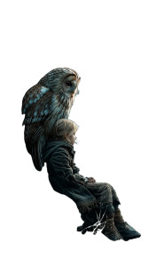 Lone Human And Owl Vinyl Car Decal Sticker – Waterproof & UV-Resistant 8"