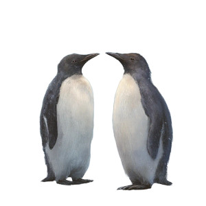 Gay Penguins Vinyl Car Decal Sticker – Waterproof & UV-Resistant 8"