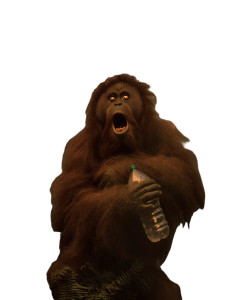 Terrified Orangutan Close-Up Vinyl Car Decal Sticker – Waterproof & UV-Resistant 8" Terrified Orangutan Close-Up Vinyl Car Decal Sticker – Waterproof & UV-Resistant 8"