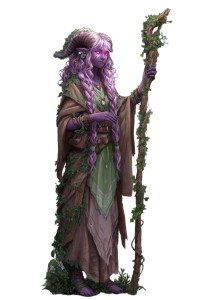 Druid Tiefling Vinyl Car Decal Sticker – Waterproof & UV-Resistant 8"