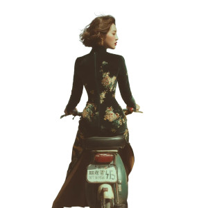 Lady On Bike Vinyl Car Decal Sticker – Waterproof & UV-Resistant 8"