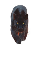 Lava Panther Vinyl Car Decal Sticker – Waterproof & UV-Resistant 8"