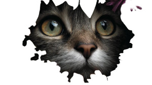 Cute Cat Close-Up V2 Vinyl Car Decal Sticker – Waterproof & UV-Resistant 8"