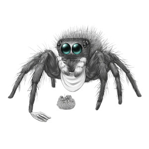 Dining Spider Vinyl Car Decal Sticker – Waterproof & UV-Resistant 8"