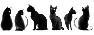 Black Cat Silhouettes V2 Vinyl Car Decal Sticker – Waterproof & UV-Resistant 8" Black Cat Silhouettes V2 Vinyl Car Decal Sticker – Waterproof & UV-Resistant 8"