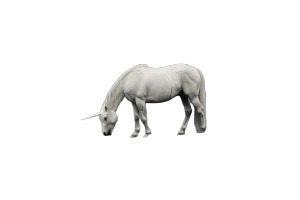 Vintage Unicorn Grazing Vinyl Car Decal Sticker – Waterproof & UV-Resistant 8" Vintage Unicorn Grazing Vinyl Car Decal Sticker – Waterproof & UV-Resistant 8"